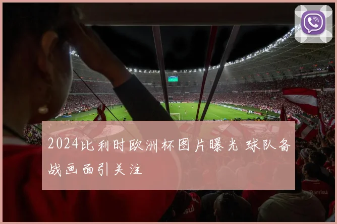 2024比利时欧洲杯图片曝光 球队备战画面引关注