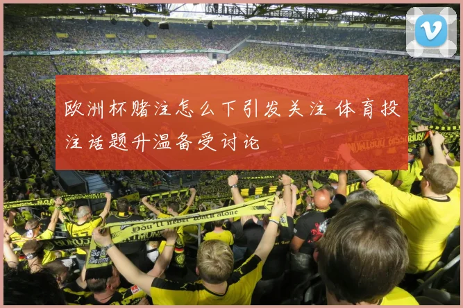 欧洲杯赌注怎么下引发关注 体育投注话题升温备受讨论