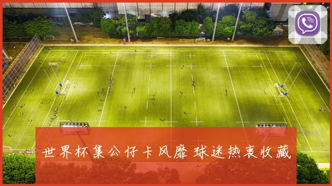 世界杯集公仔卡风靡 球迷热衷收藏