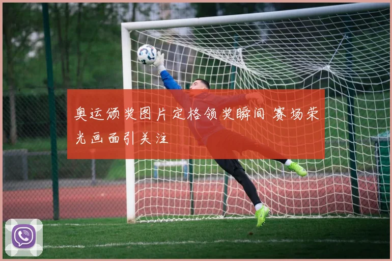 奥运颁奖图片定格领奖瞬间 赛场荣光画面引关注