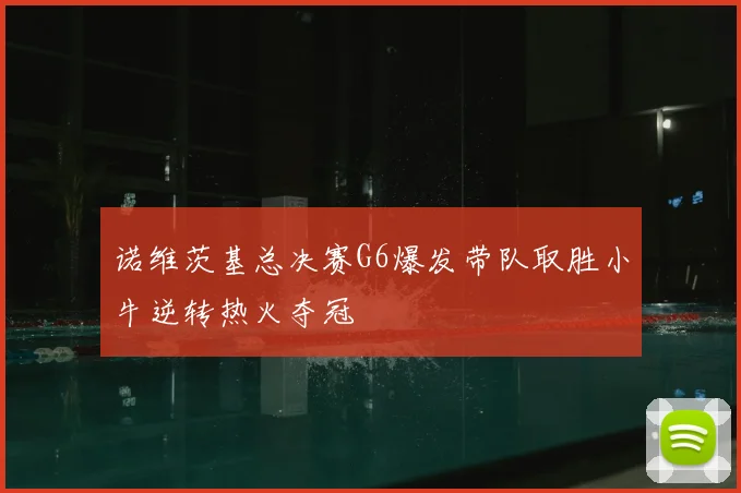 诺维茨基总决赛G6爆发带队取胜小牛逆转热火夺冠