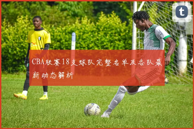 CBA联赛18支球队完整名单及各队最新动态解析
