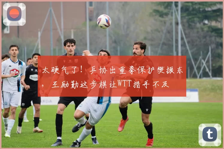 太硬气了！乒协出重拳保护樊振东，王励勤这步棋让WTT措手不及