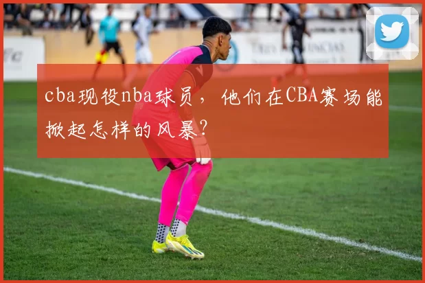 cba现役nba球员，他们在CBA赛场能掀起怎样的风暴？