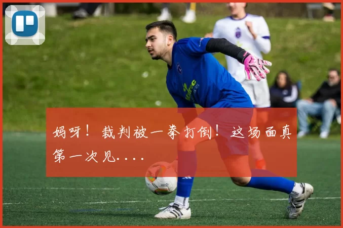 妈呀！裁判被一拳打倒！这场面真第一次见....